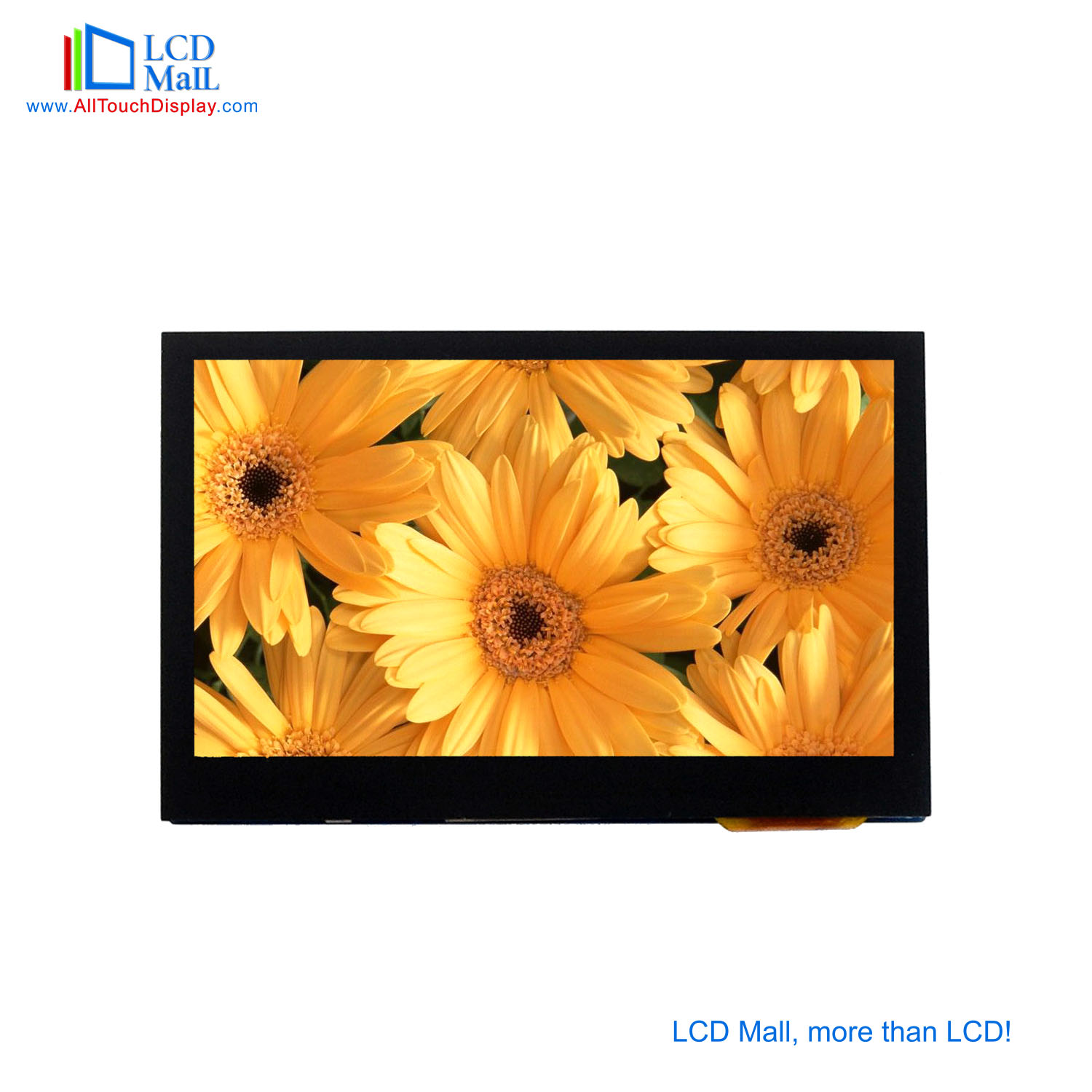 LCD Mall Array image83