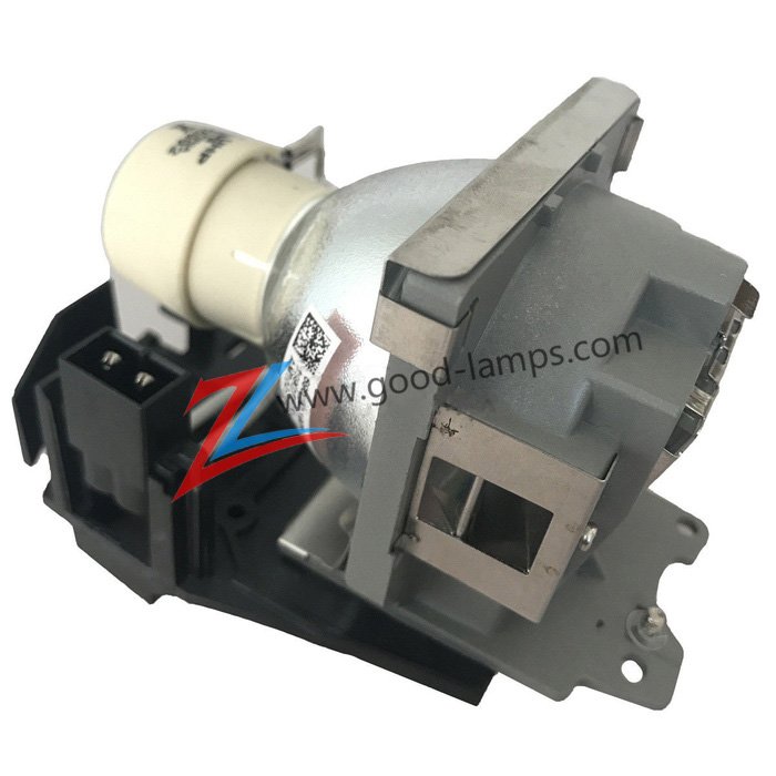 Projector lamps 5J.06001.001