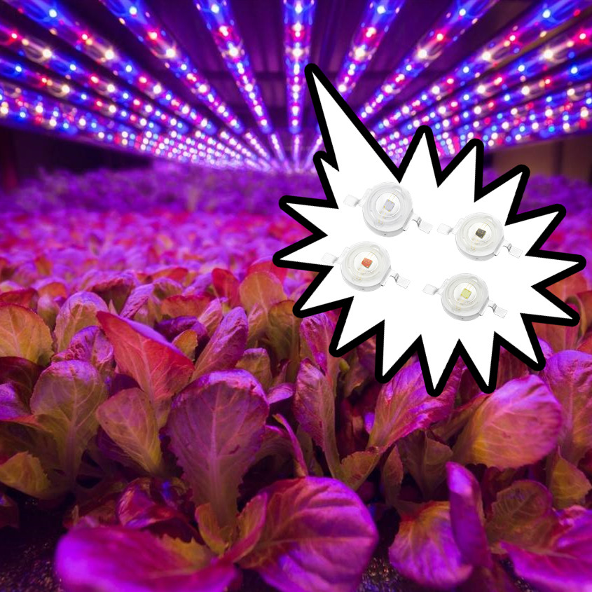 Getian Array image82