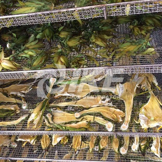 IKE-Pitaya Flower Drying Machine, Vegetable Dehydration Plant, Dehydrator For Fruits And Vegetables-1