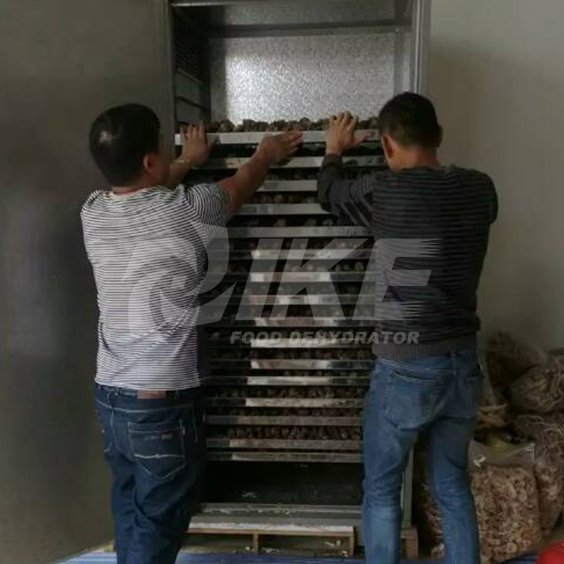 IKE-Looking For Lemon Drying Machine, Commercial Fruit Dehydrator IKE-Looking For Lemon Drying Machine, Commercial Fruit Dehydrator