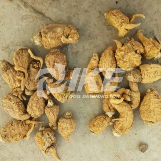 IKE-Looking For Lemon Drying Machine, Commercial Fruit Dehydrator-1 IKE-Looking For Lemon Drying Machine, Commercial Fruit Dehydrator-1