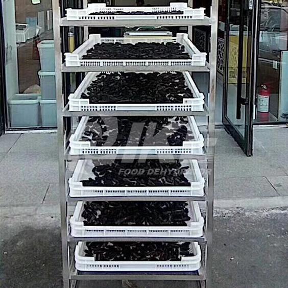 IKE-Vegetable Drying Equipment-choy Sum Drying Machine