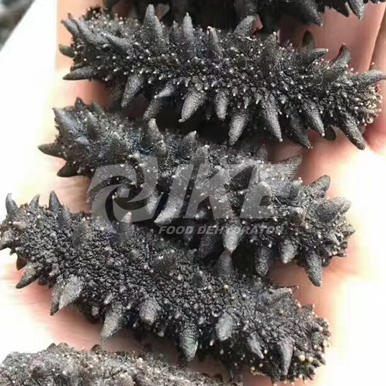 IKE-Vegetable Drying Equipment-choy Sum Drying Machine-1