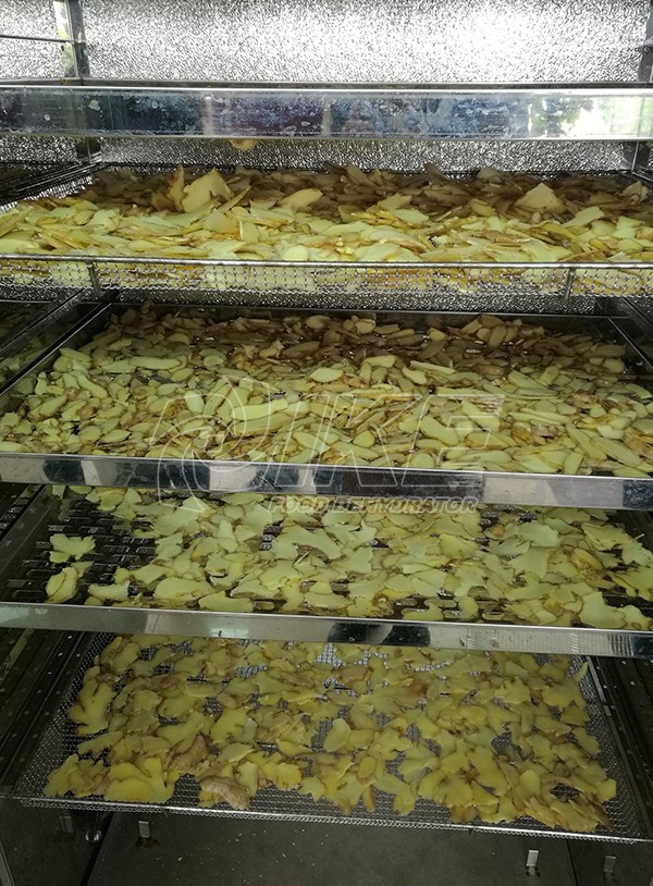 IKE-Ginger Drying Machine, Ginger dehydrator, Fruit And Vegetable Dryer Dehydrator