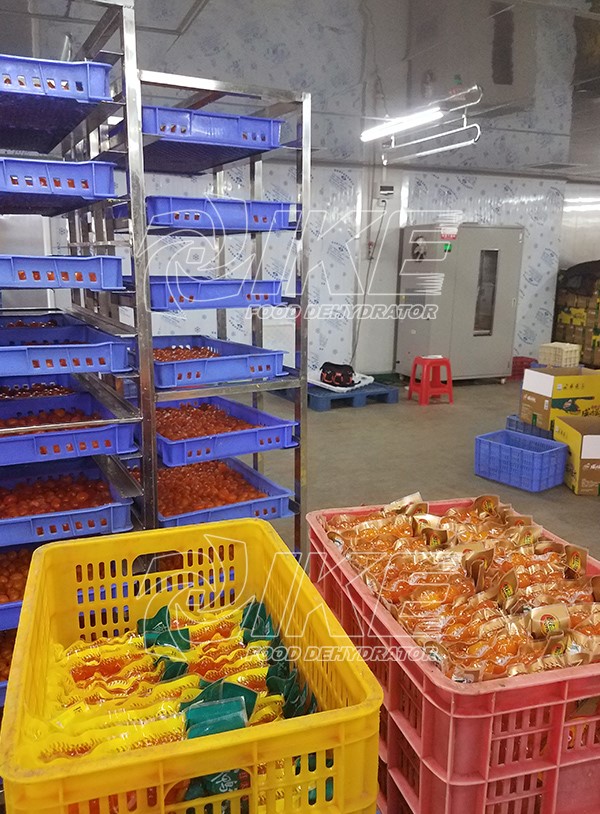 IKE-News About Hot-Sale Salted Egg Yolk Drying Machine-2