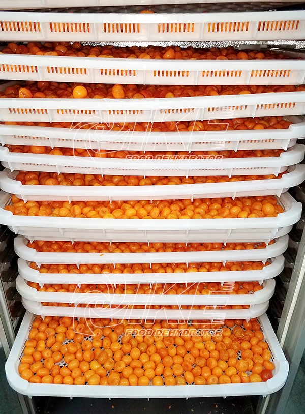 IKE-News About Hot-Sale Salted Egg Yolk Drying Machine-3