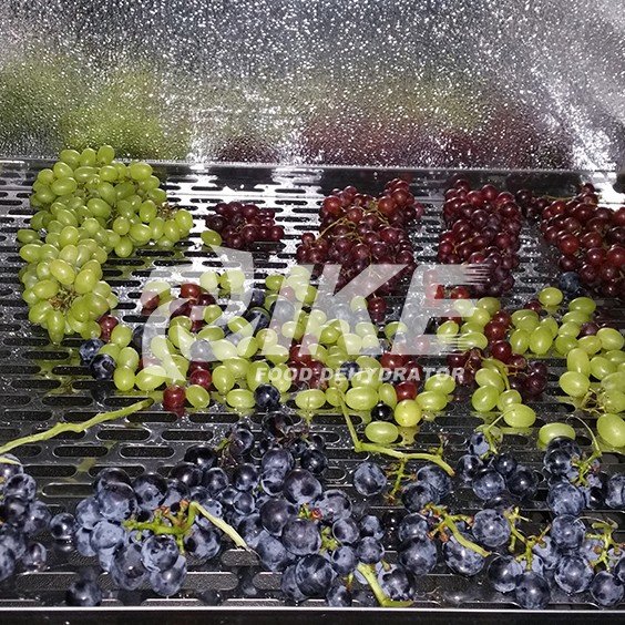 IKE-Looking For Lemon Drying Machine, Commercial Fruit Dehydrator IKE-Looking For Lemon Drying Machine, Commercial Fruit Dehydrator