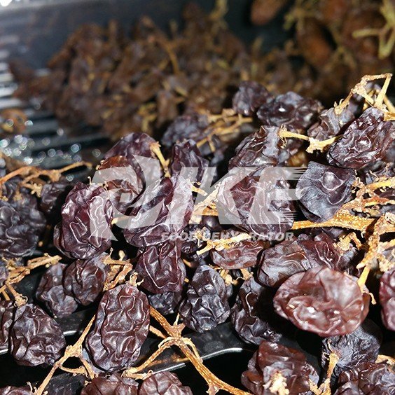 IKE-Looking For Lemon Drying Machine, Commercial Fruit Dehydrator-1 IKE-Looking For Lemon Drying Machine, Commercial Fruit Dehydrator-1