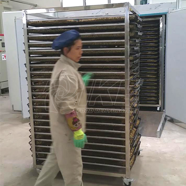 IKE-Astragalus Root Drying Machine, Astragalus Chinese Herb, Electric Herb Dryer