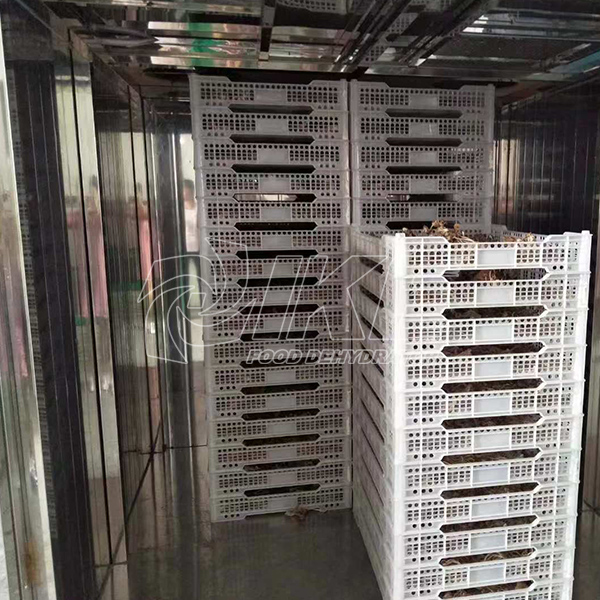 IKE-Vegetable Dryer Machine-agrocybe Cylindracea Drying Machine