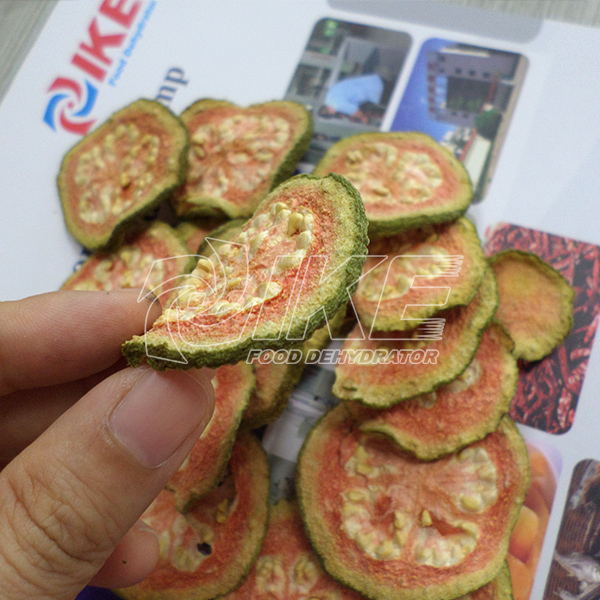 IKE-IKE Has Best Guava Drying Machine Fruit Dehydrator For Sale-1
