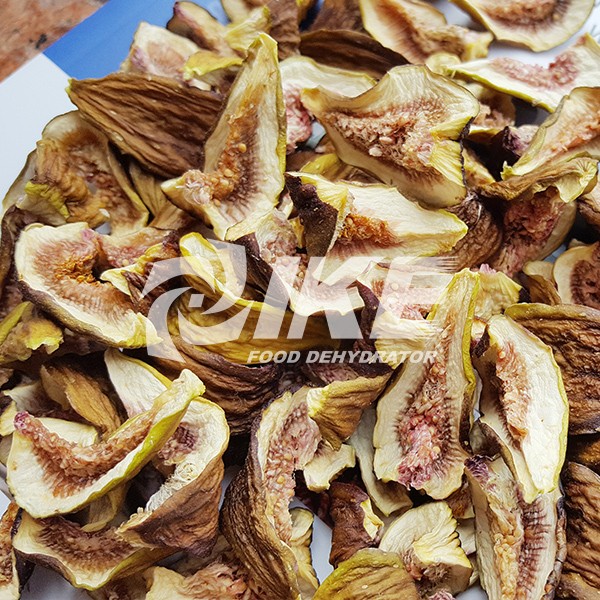 IKE-Fig Drying Machine, Fruit Drying Equipment, Hot Air Drying Oven-1