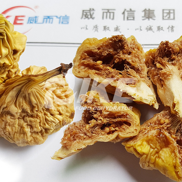 IKE-Fig Drying Machine, Fruit Drying Equipment, Hot Air Drying Oven-3