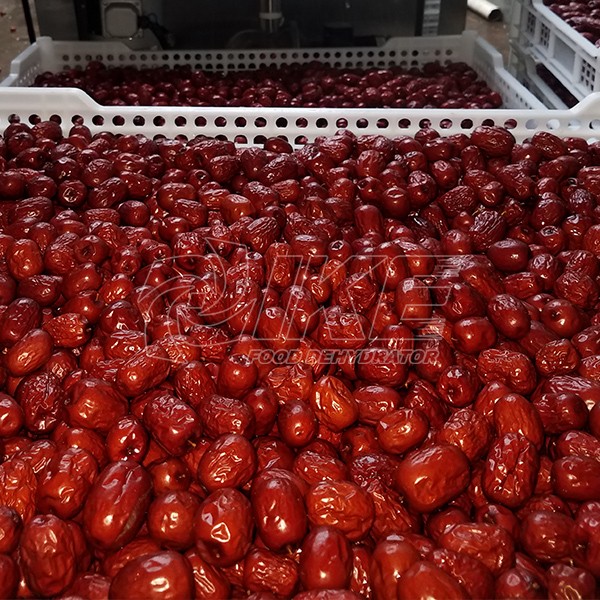 IKE-Red Dates Dehydrator