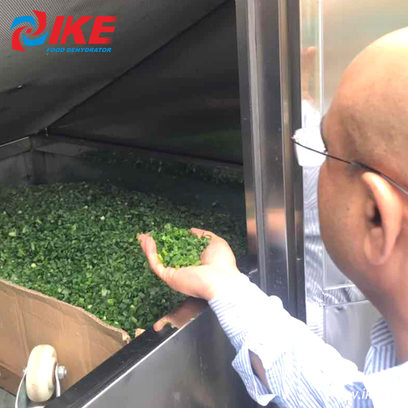 IKE-Indian Customers Come To Check Their Custom-made All-in-one Shallots Dryer-1