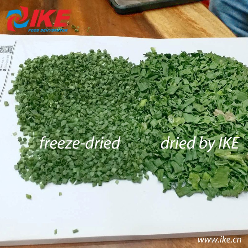 IKE-Indian Customers Come To Check Their Custom-made All-in-one Shallots Dryer-3