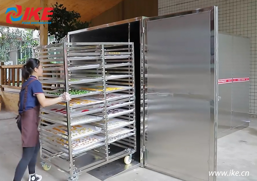 IKE-New Arrival - Ike Standard Drying System Aio-1600gs, Guangdong Ike Industrial Co