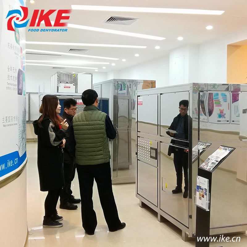 IKE-Electric Food Dehydrator-korean Customer Like Ike Food Drying Machines-1