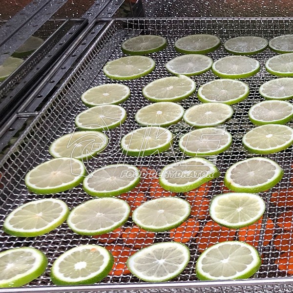 IKE-Lime Dehydrator, Guangdong Ike Industrial Co,ltd