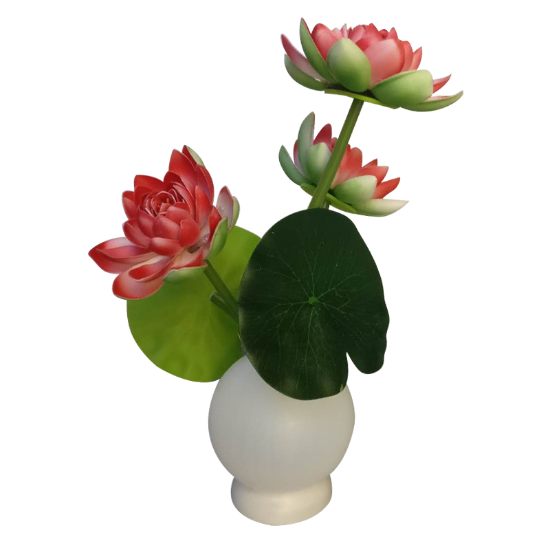 LED Lotus lamp 3W 50hz  Warranty 3 years