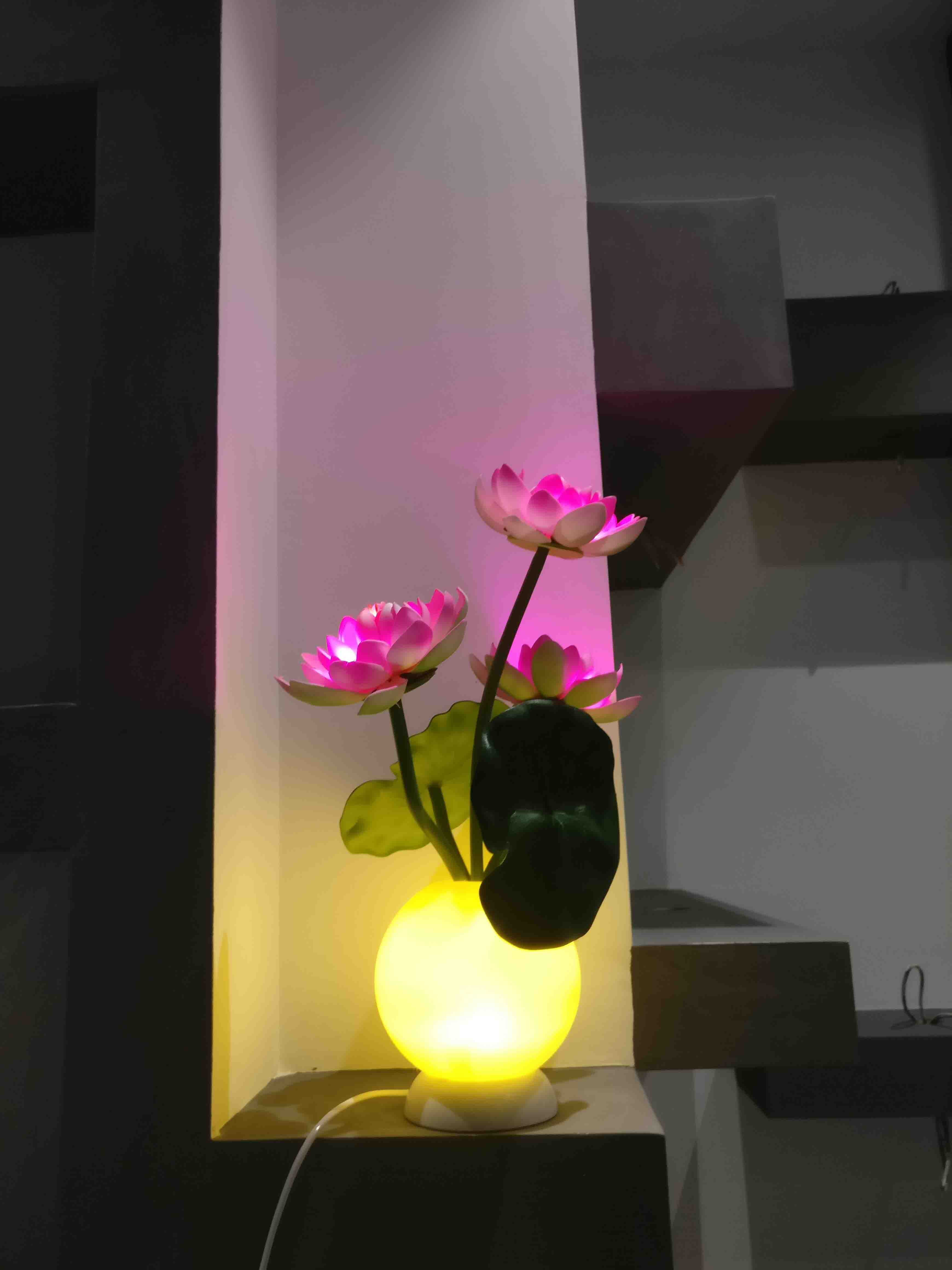 Kons-High-quality | Led Lotus Lamp 3w 50hz Warranty 3 Years-4