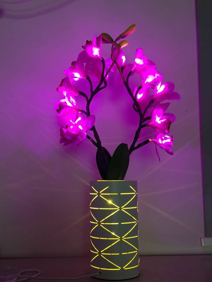 Kons-, Led Cymbidium Lamp 4w 50hz Warranty 3 Years-6