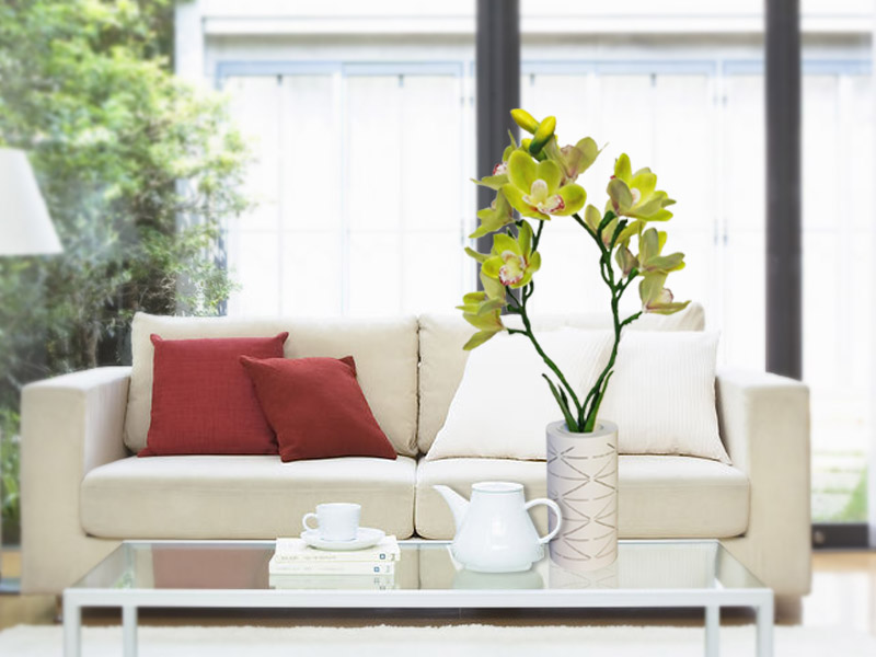 Kons-, Led Cymbidium Lamp 4w 50hz Warranty 3 Years-5