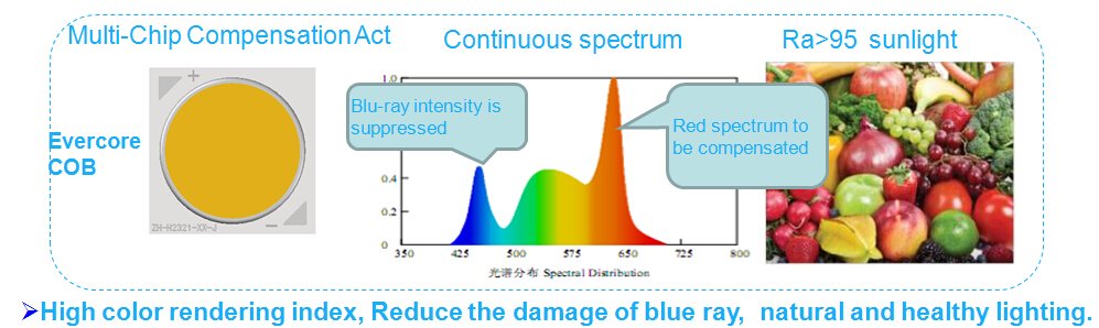 COB LED modules COB LED modules