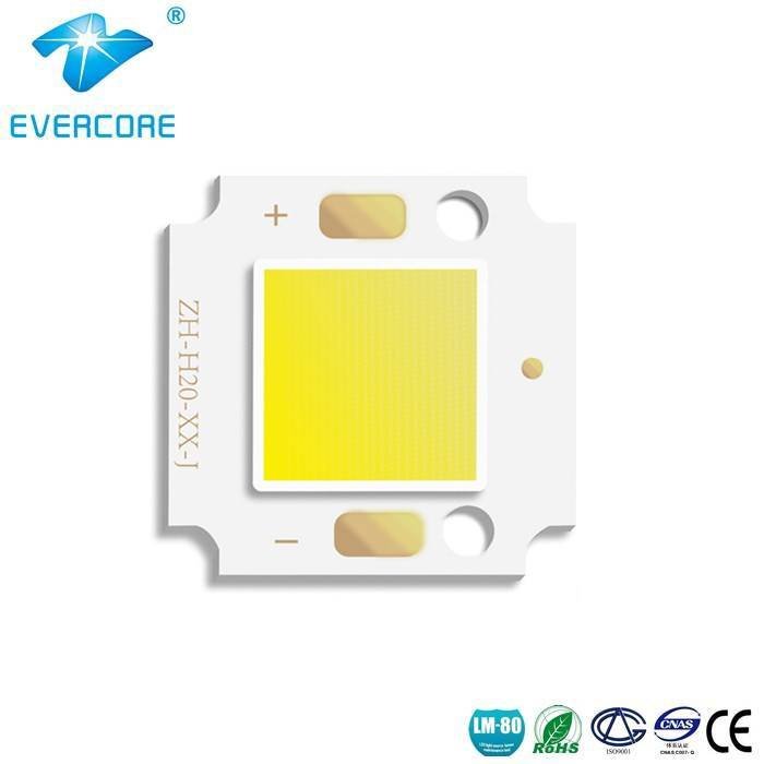 LED COB for outdoor small flood light /Garden lamp (OH2011) 10W