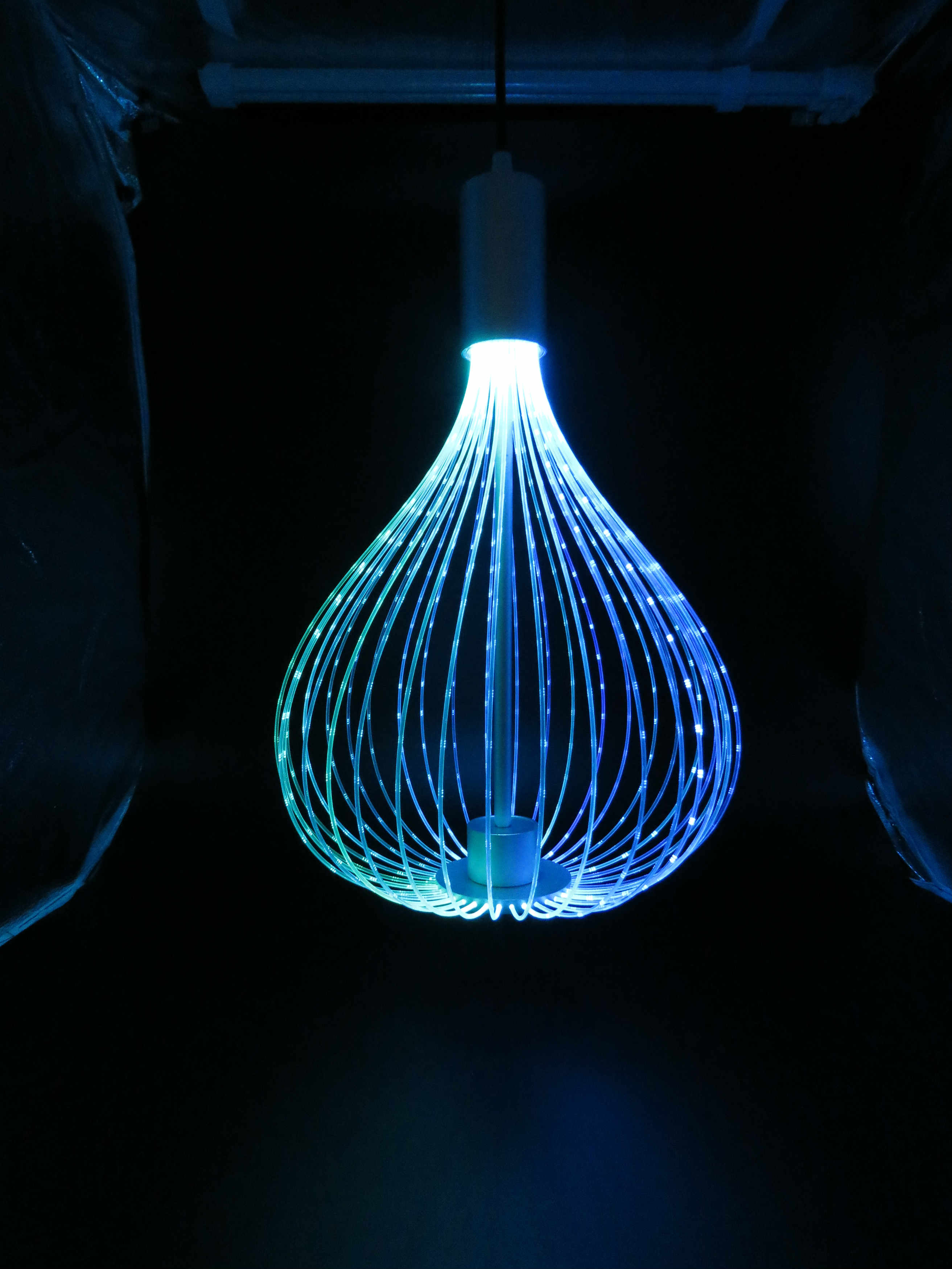 Njgiant Array image581