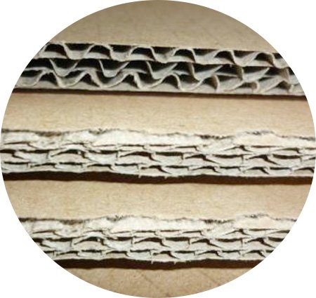 CAI YI JIE Array image176