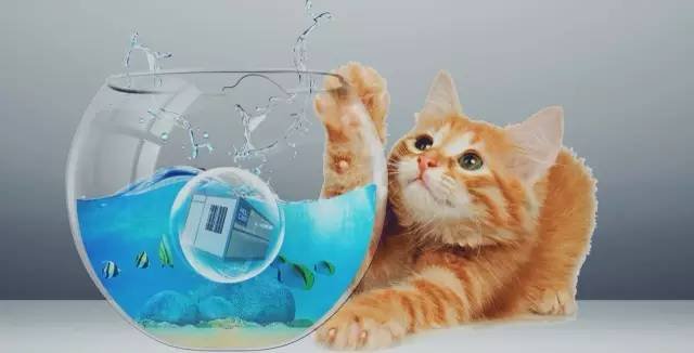 waterproof folding container house