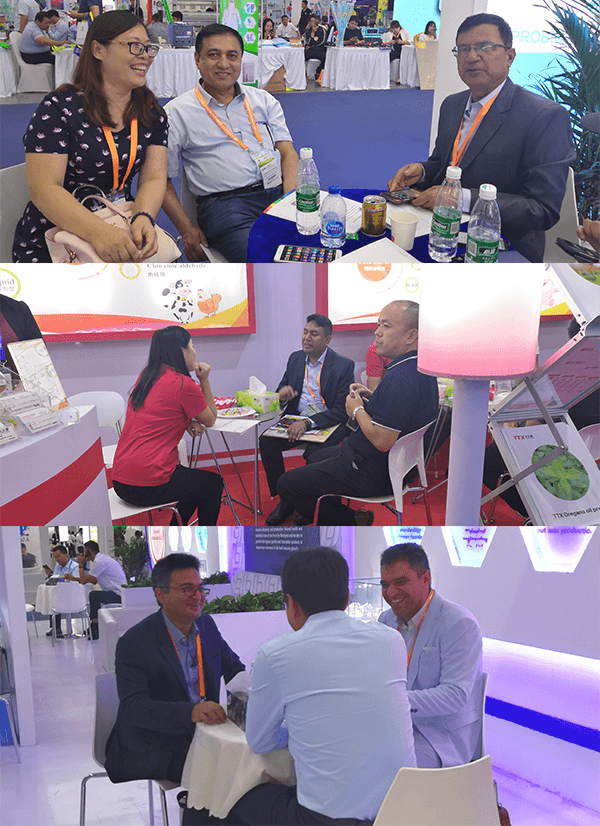 Rengty Array image113