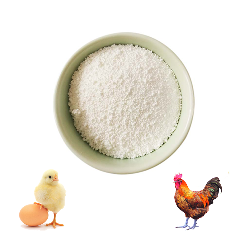 Rengty Array image59