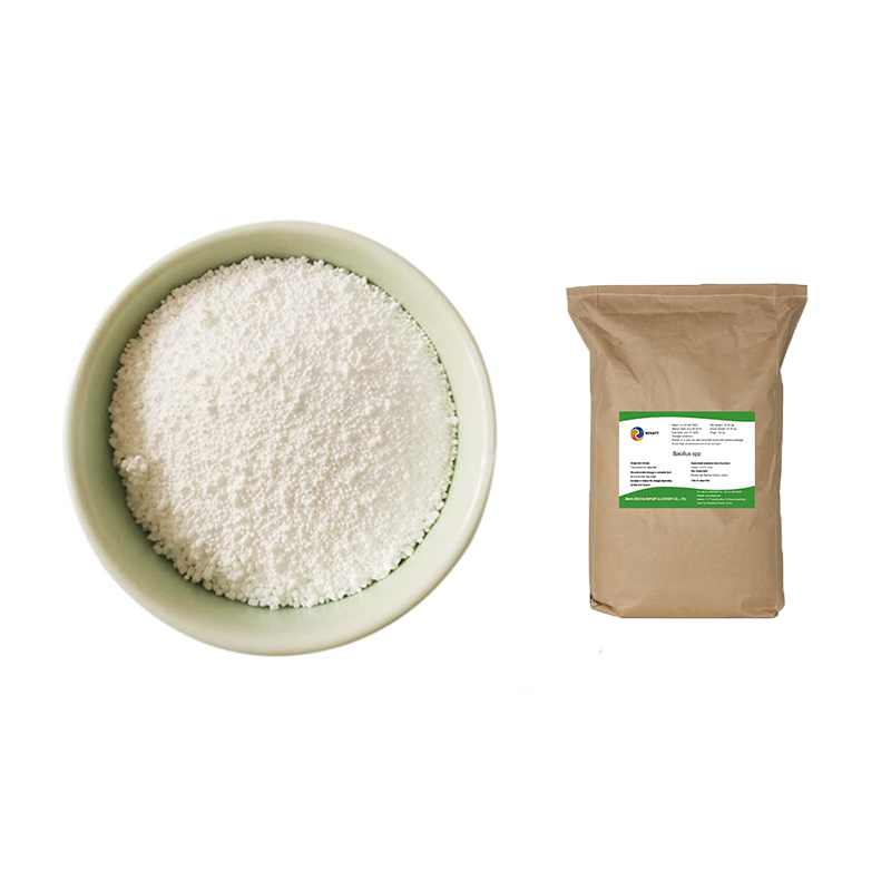 Rengty Array image179