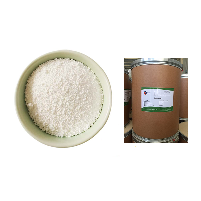 Rengty Array image168