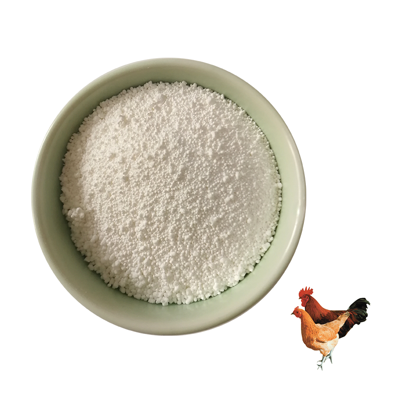 Rengty Array image148