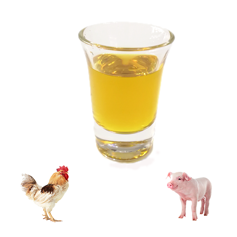 Rengty Array image174