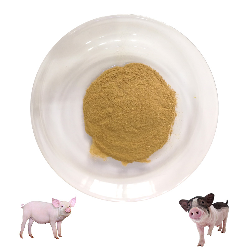 Rengty Array image170