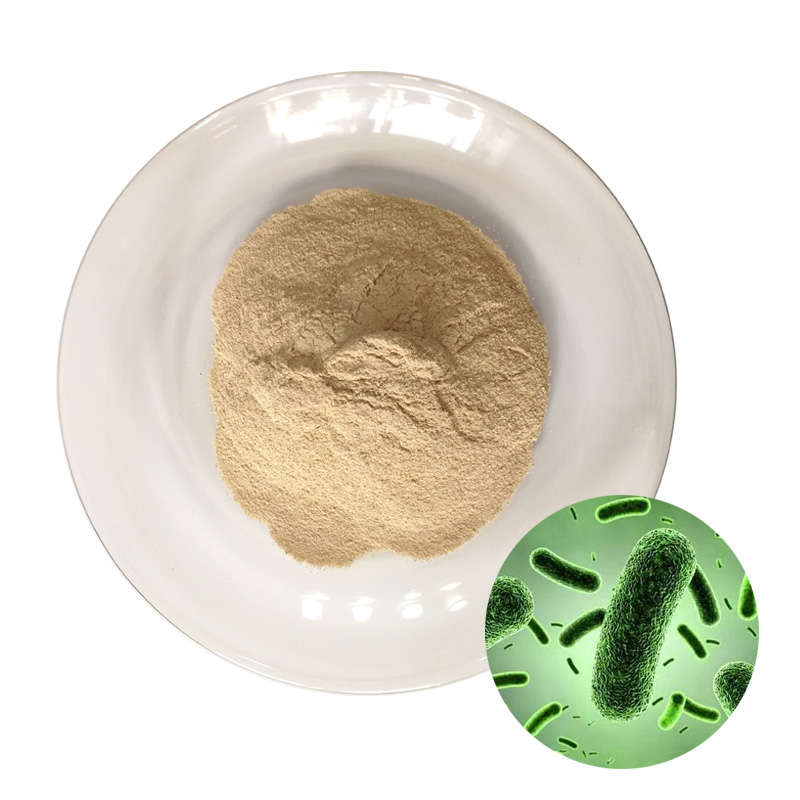 Rengty Array image143