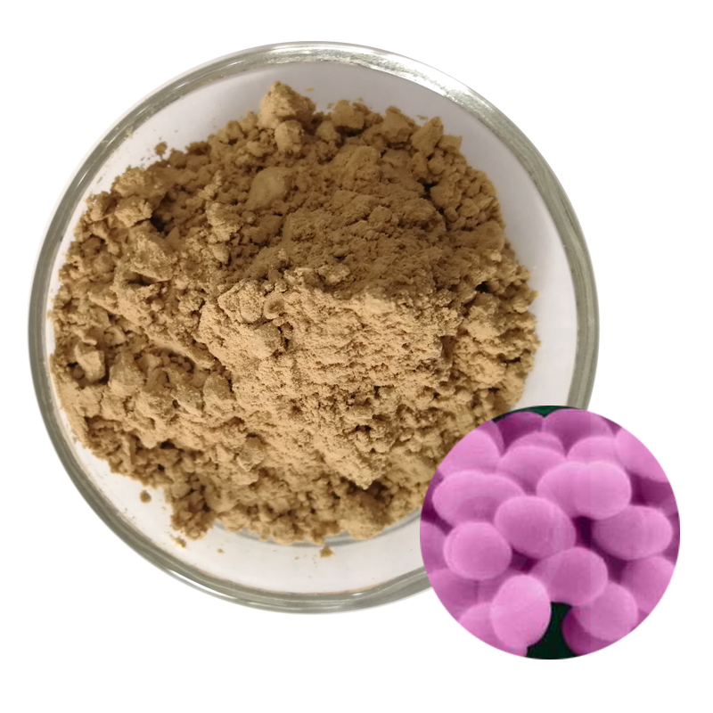 Rengty Array image67