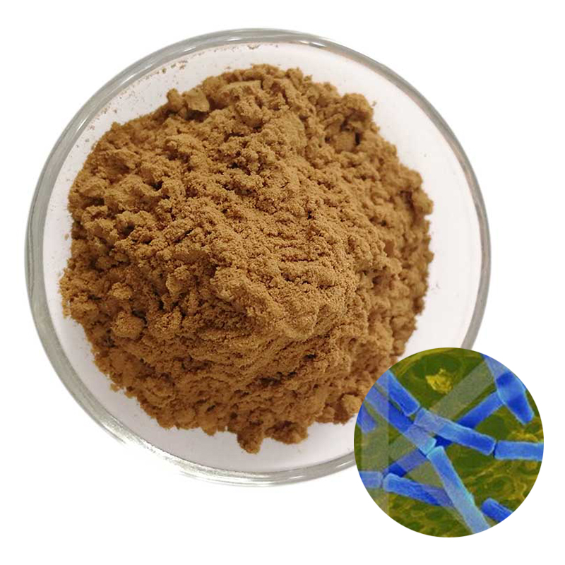 Rengty Array image161