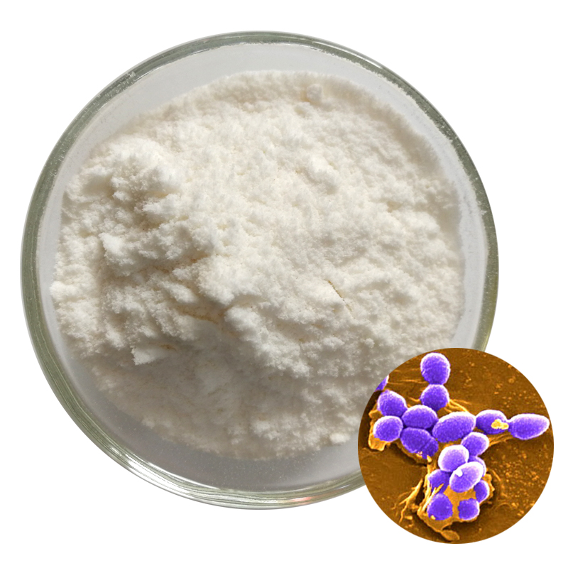 Rengty Array image41