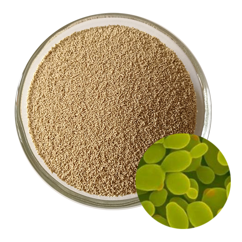 Rengty Array image116