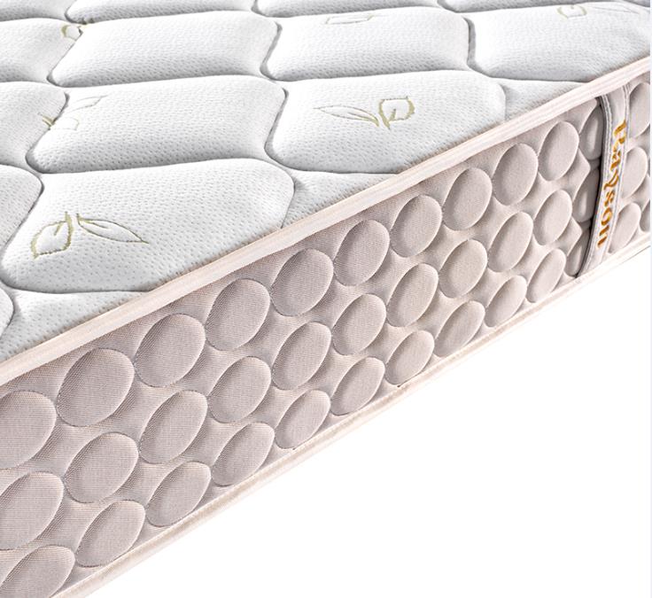 Rayson  Array image181