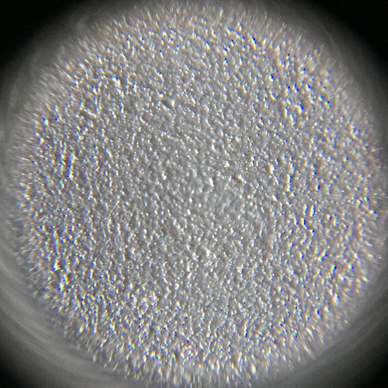 XY Screens Array image144