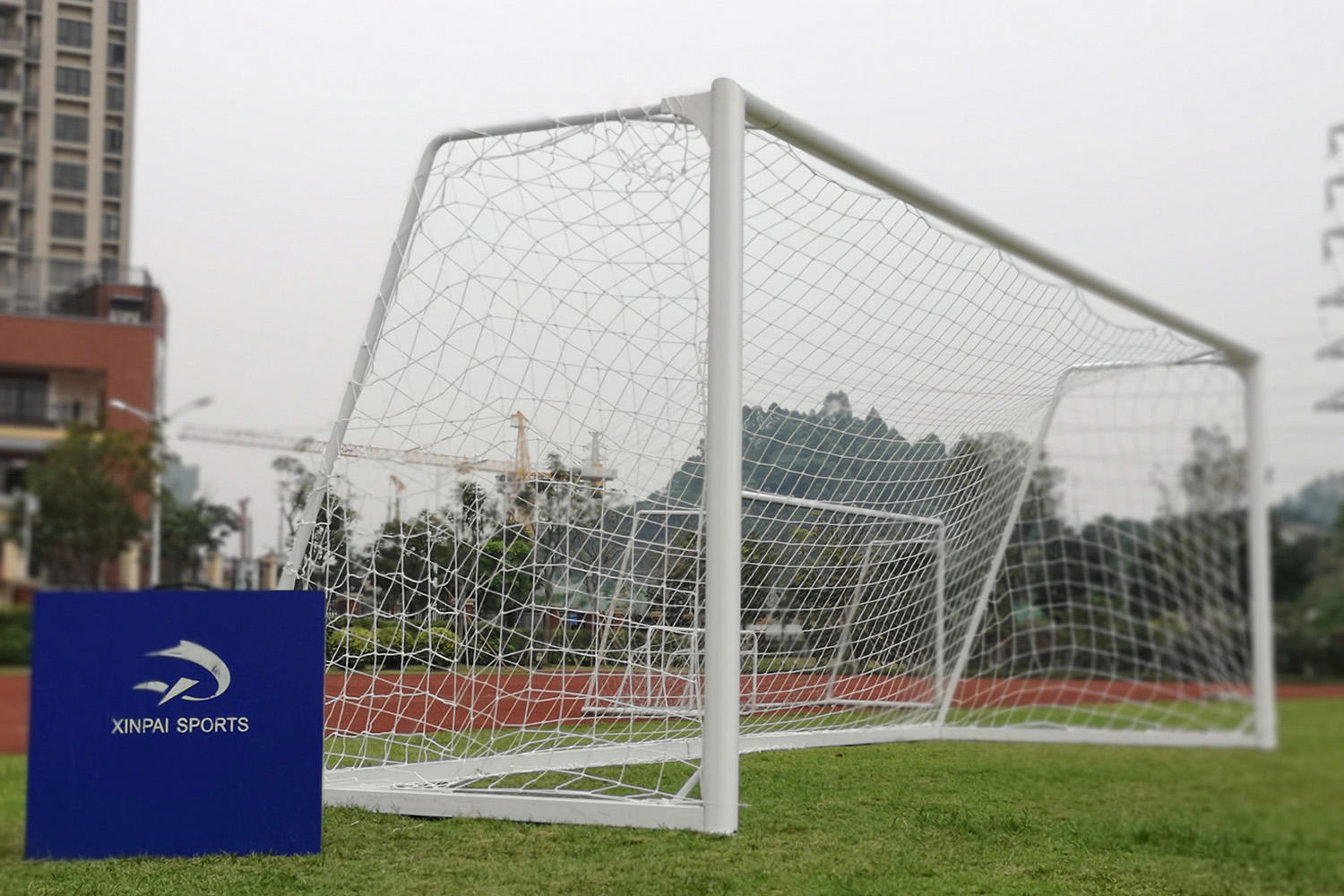 Xinpai Array image124