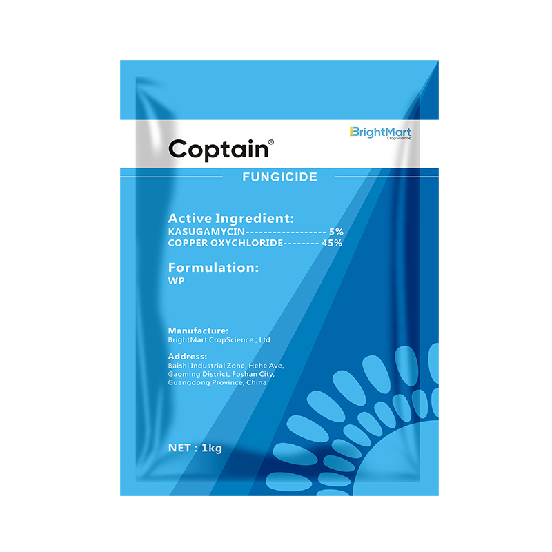 BrightMart Array image30