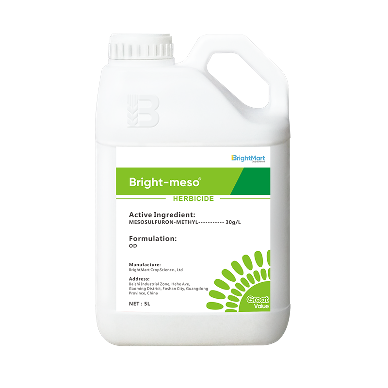 BrightMart Array image122